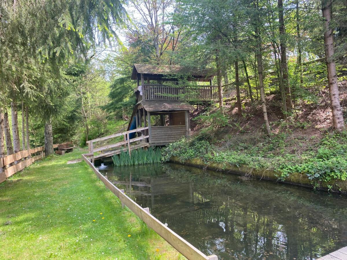 Hotel-Restaurant Theis-Muehle Biersdorf am See Exterior photo